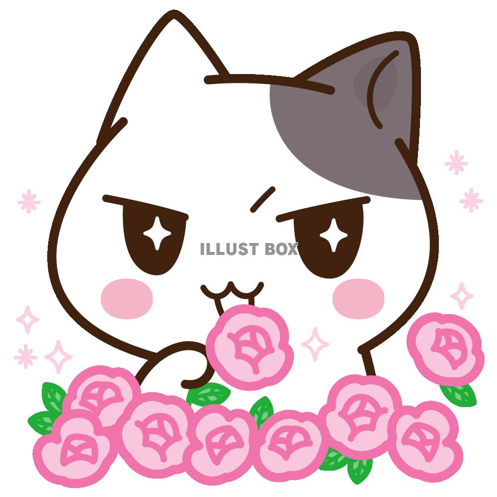 無料イラスト バラの花とぶちにゃん ぶち猫 にゃんこ
