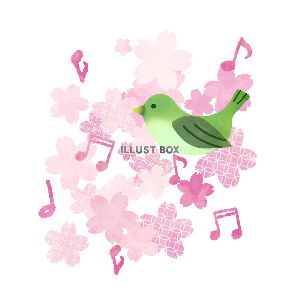 無料イラスト 桜と小鳥