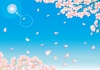 桜模様＿青空