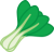 チンゲンサイ　野菜　ベジタブル