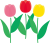 チューリップ　花　春　フラワー