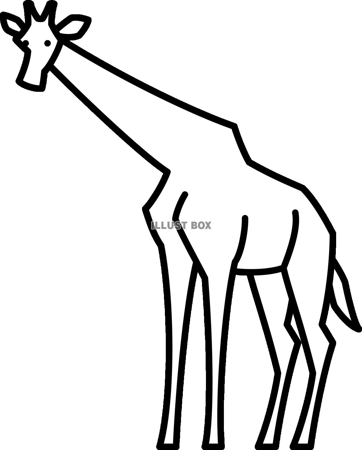 無料イラスト シンプルな線画の動物 キリン ぬり絵
