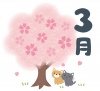 3月　桜と猫