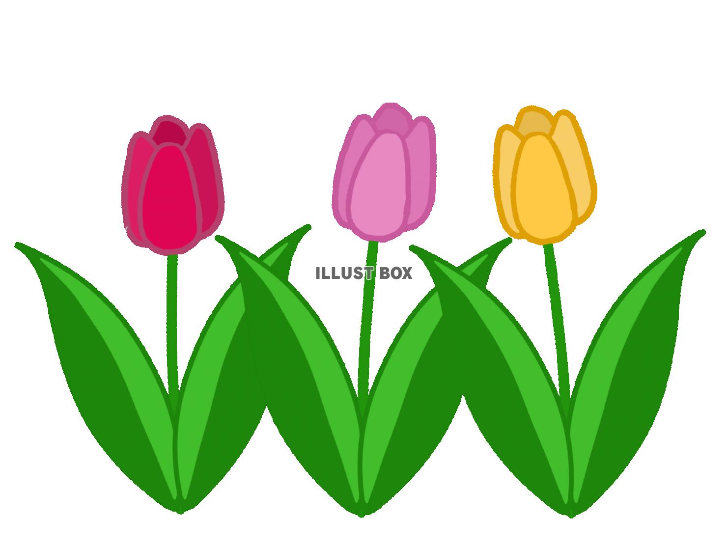 すべての花の画像 無料ダウンロードチューリップ 葉っぱ イラスト