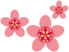 桃の花模様壁紙シンプル背景素材イラスト。透過PNG