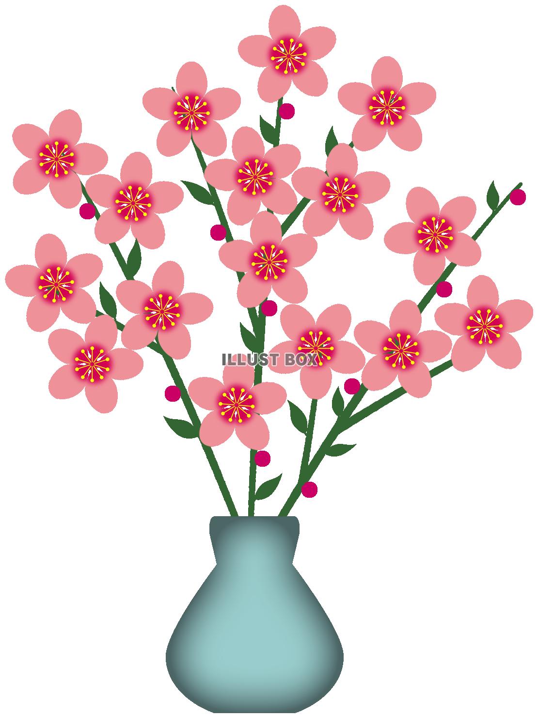 桃の花模様壁紙シンプル背景素材イラスト。透過PNG