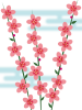 桃の花模様壁紙シンプル背景素材イラスト。透過PNG