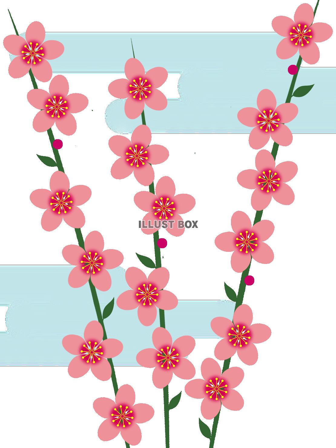 無料イラスト 桃の花模様壁紙シンプル背景素材イラスト 透過png