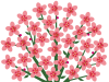 桃の花模様壁紙シンプル背景素材イラスト。透過PNG