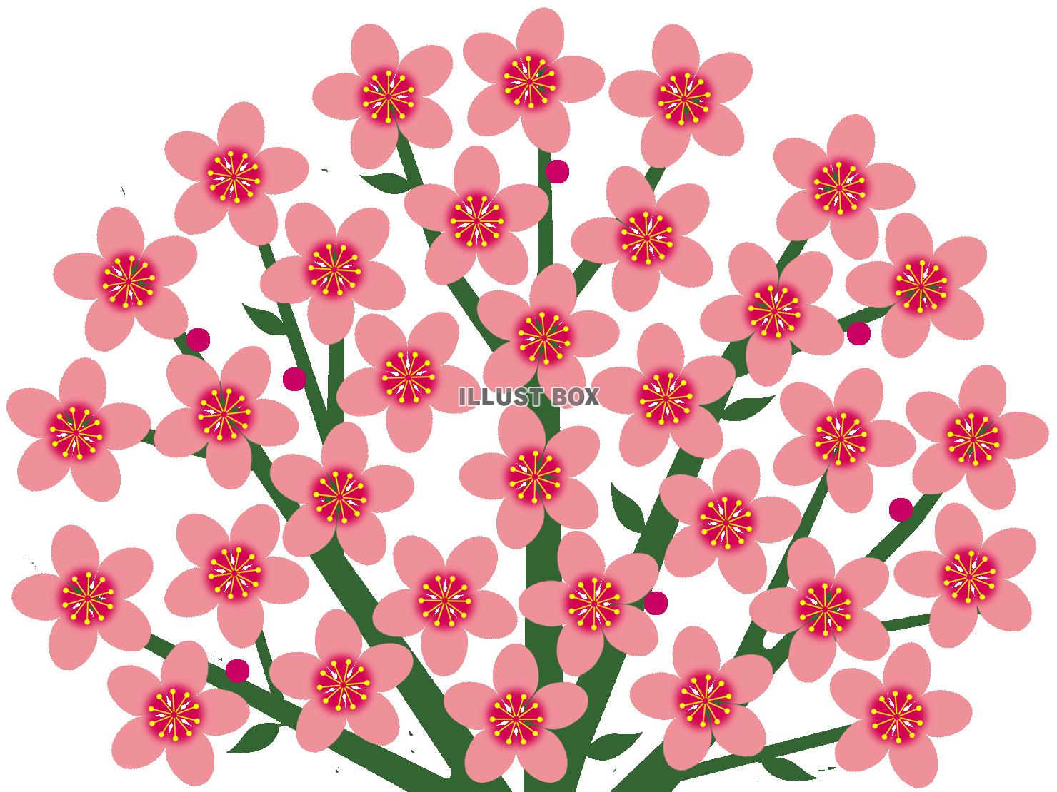 無料イラスト 桃の花模様壁紙シンプル背景素材イラスト 透過png