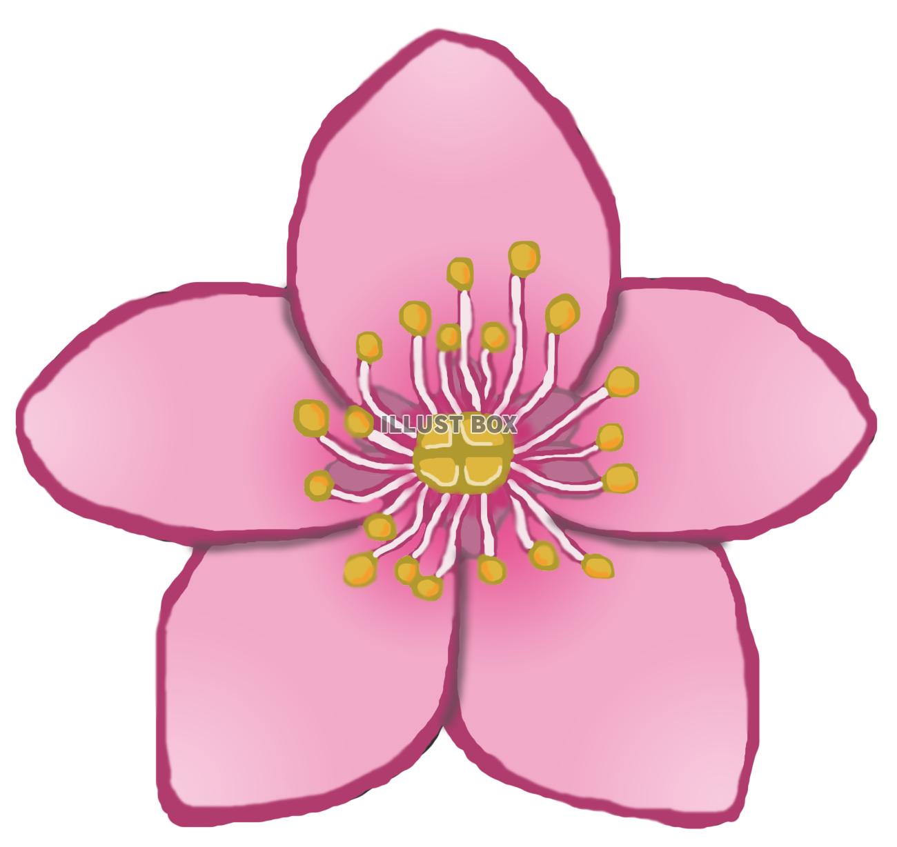 桃の花B(png)