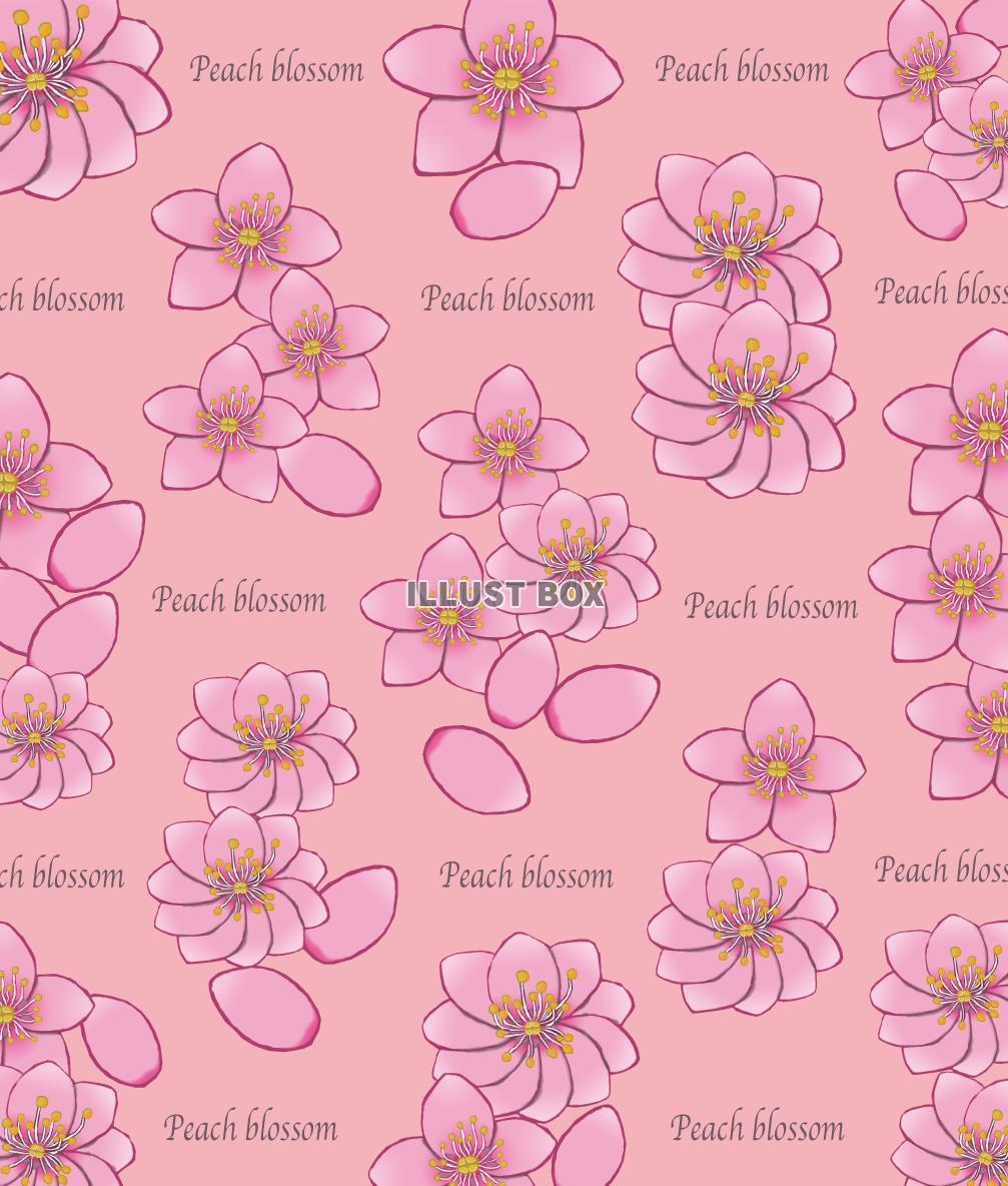 無料イラスト 桃の花の壁紙 Png