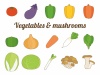 野菜ときのこセット主線あり(玉ねぎ、ネギ、白菜、ナス、大根、ピーマン、エリンギ、