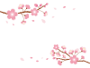 桜の枝のイラスト【透過PNG】