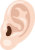耳