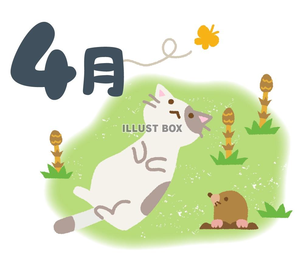 ４月　猫ともぐら