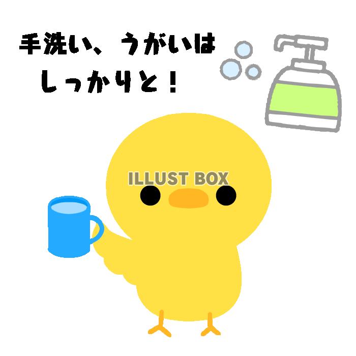 手洗いうがいをうながすひよこ　透過png