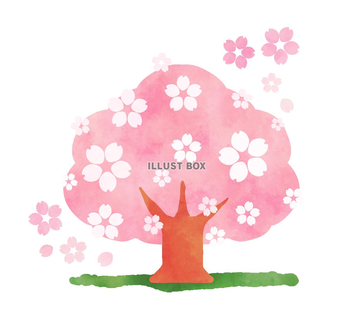 桜の木 イラスト