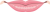 口　唇　リップ