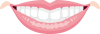 口　歯
