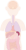 ひ臓　内臓　器官　人体