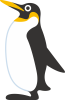 動物 ペンギン アニマル