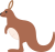 動物 カンガルー アニマル