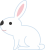 動物 ウサギ アニマル
