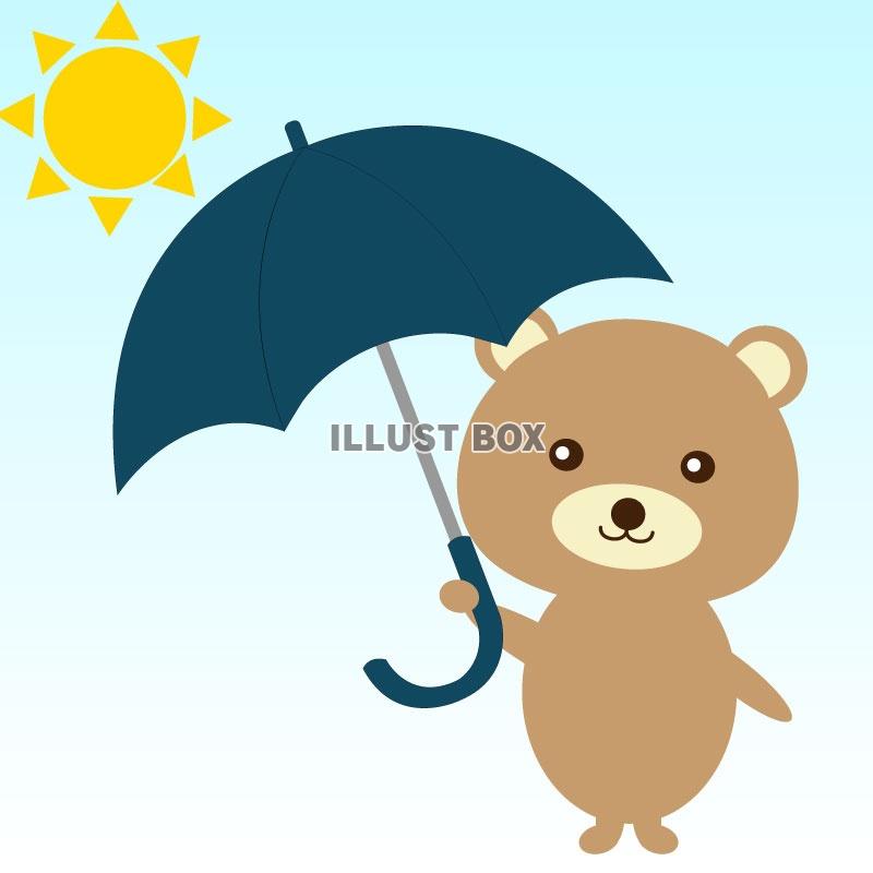 クマと日傘