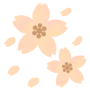 さくらと花びら　透過png