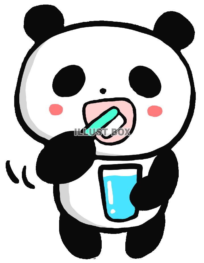 歯磨きパンダ