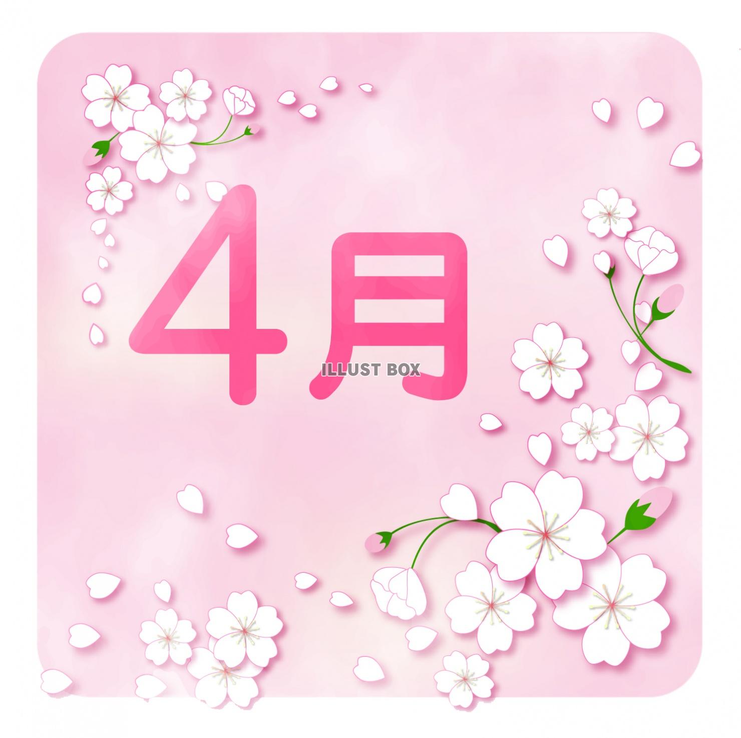 ４月のカレンダーロゴ（桜02）