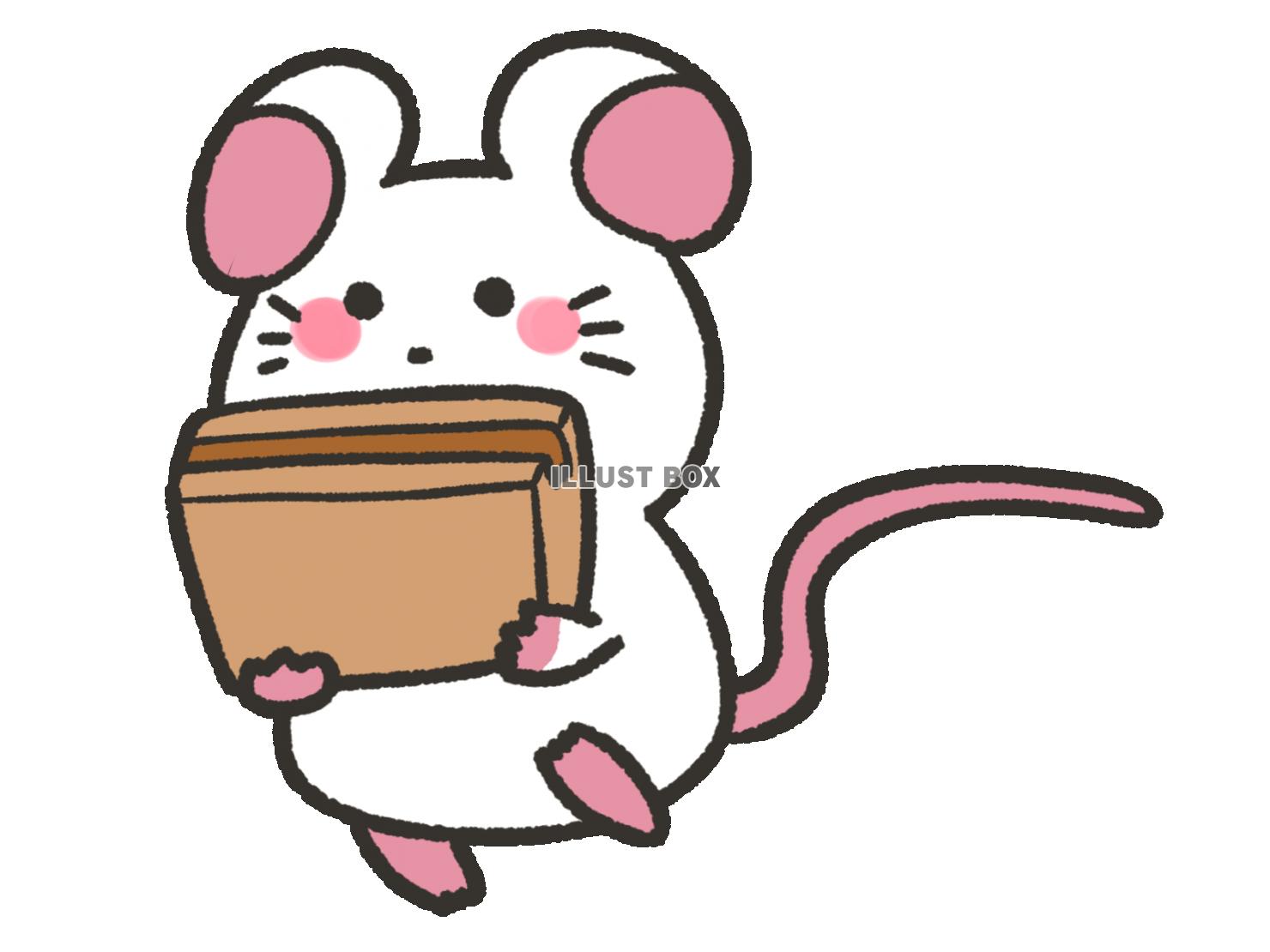 ダンボールを運ぶネズミ