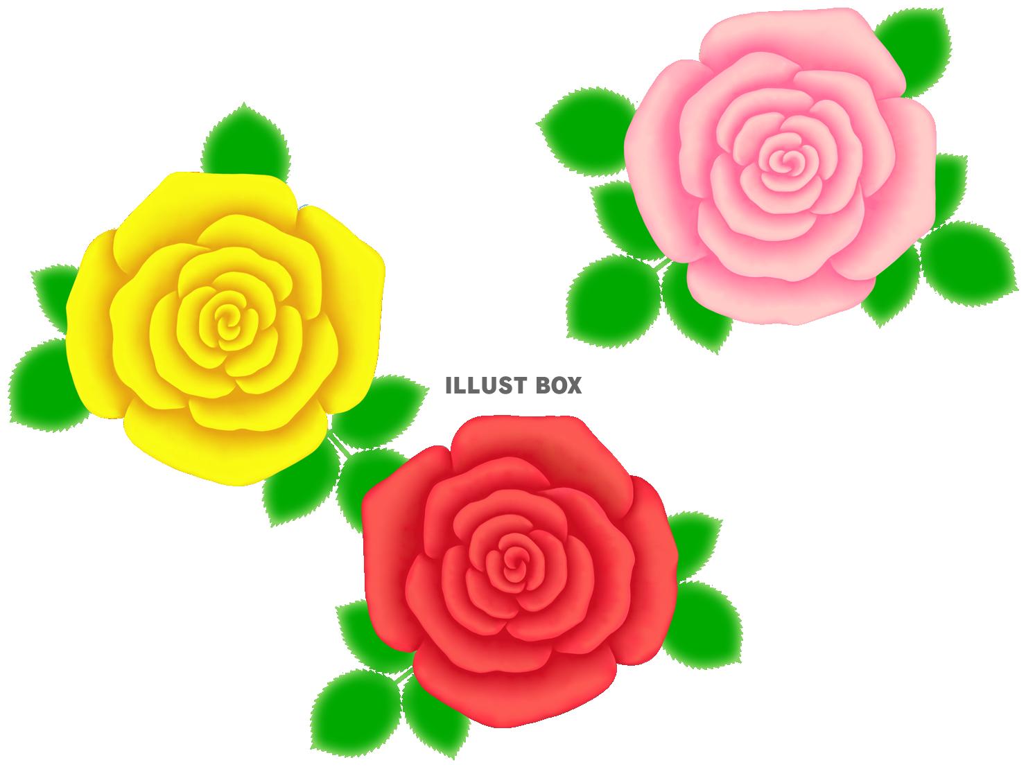 薔薇の花模様壁紙シンプル背景素材イラスト。透過PNG