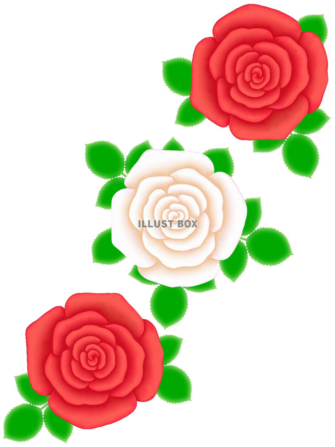 無料イラスト 薔薇の花模様壁紙シンプル背景素材イラスト 透過png