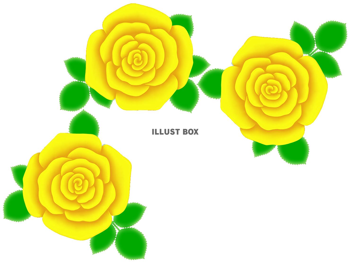 薔薇の花模様壁紙シンプル背景素材イラスト。透過PNG