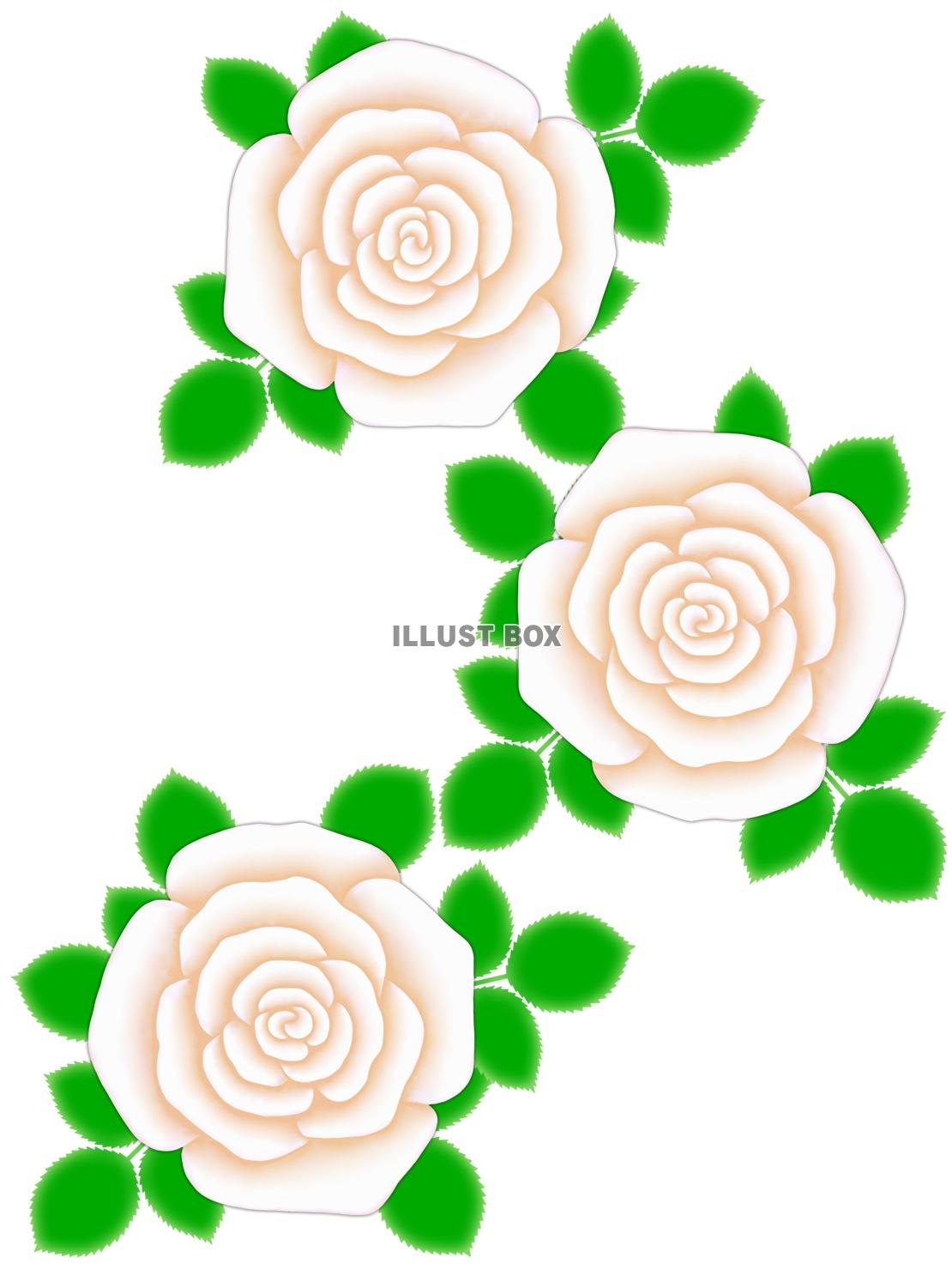 薔薇の花模様壁紙シンプル背景素材イラスト。ベクターもあります