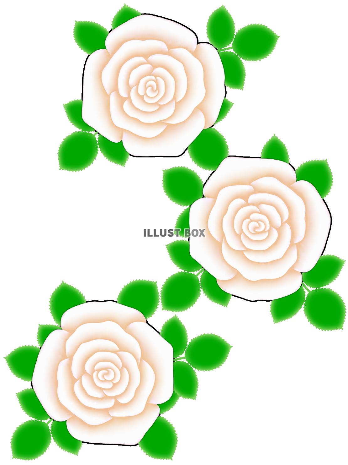 無料イラスト 薔薇の花模様壁紙シンプル背景素材イラスト 透過png