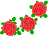 薔薇の花模様壁紙シンプル背景素材イラスト。透過PNG