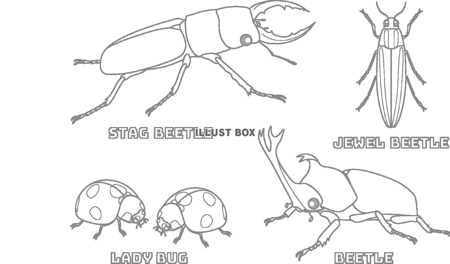 無料イラスト 甲虫のぬりえ