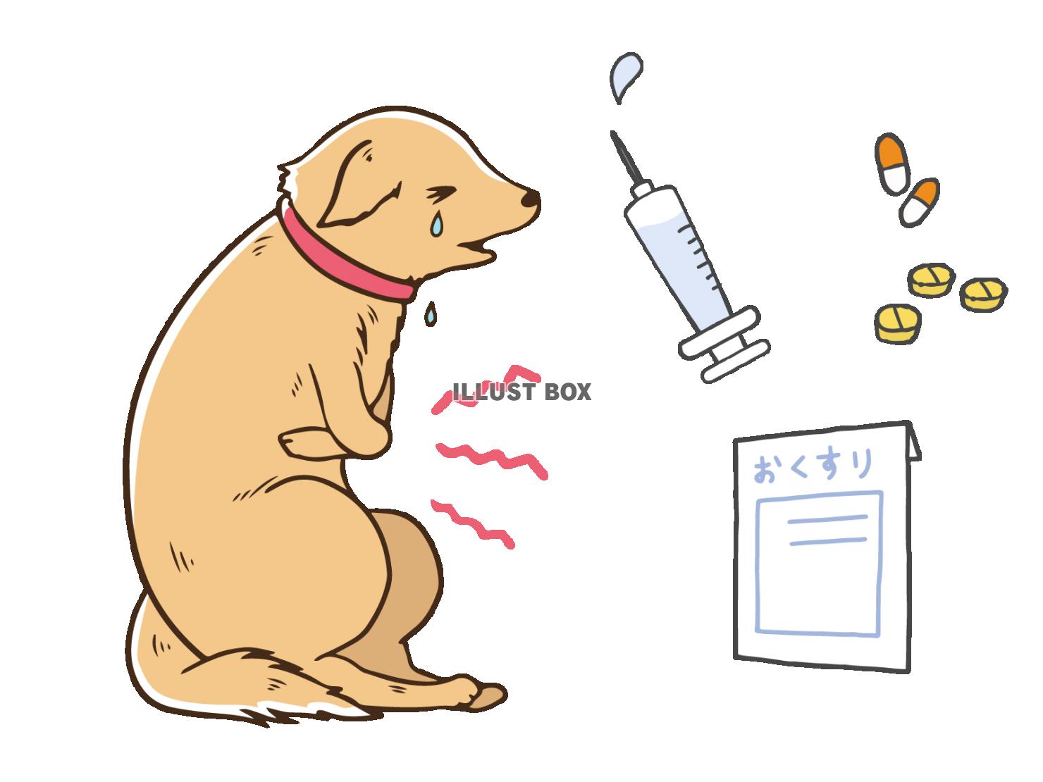 無料イラスト 体調不良の犬と治療