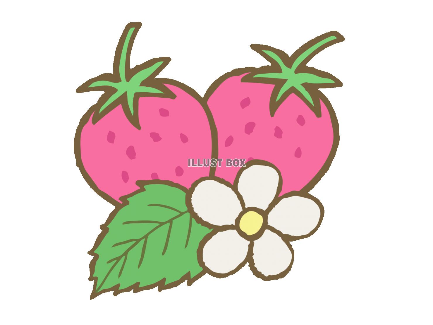 無料イラスト 苺といちごの花