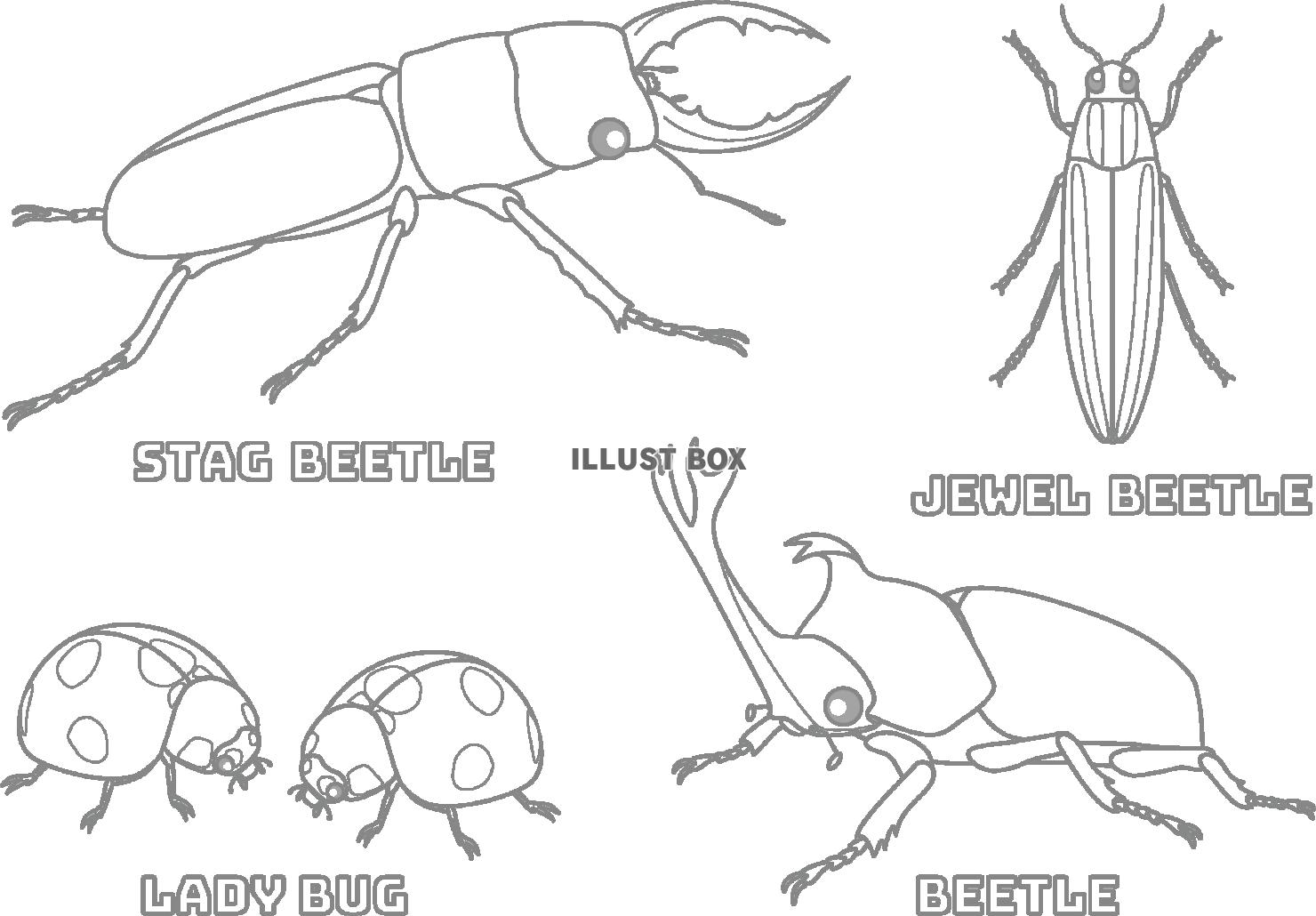 無料イラスト 甲虫のぬりえ 訂正版