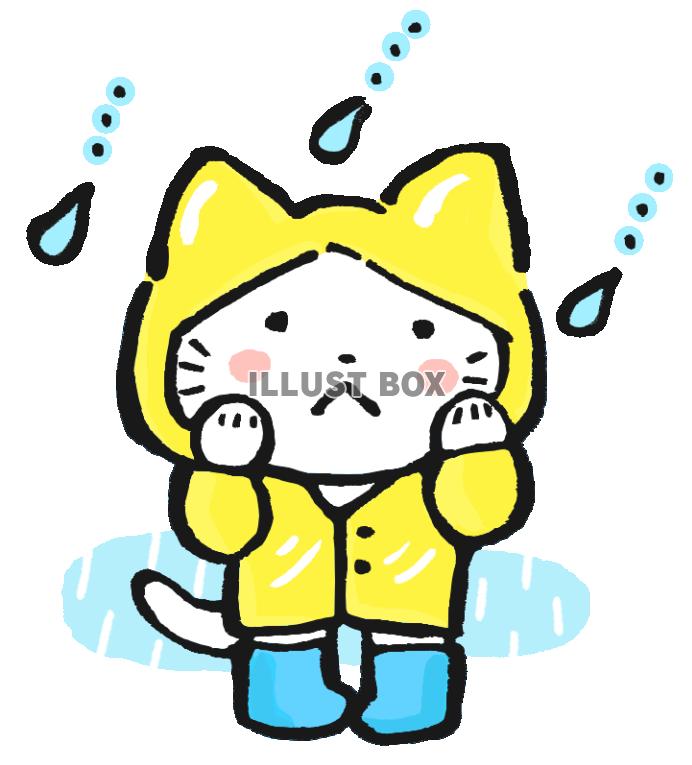 雨の日のネコさん