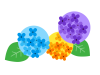 紫陽花その２