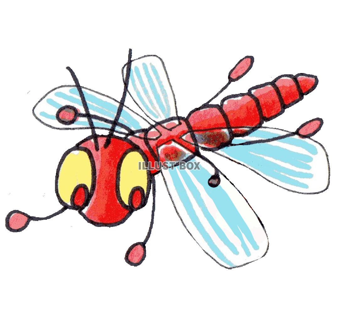赤とんぼ　蜻蛉