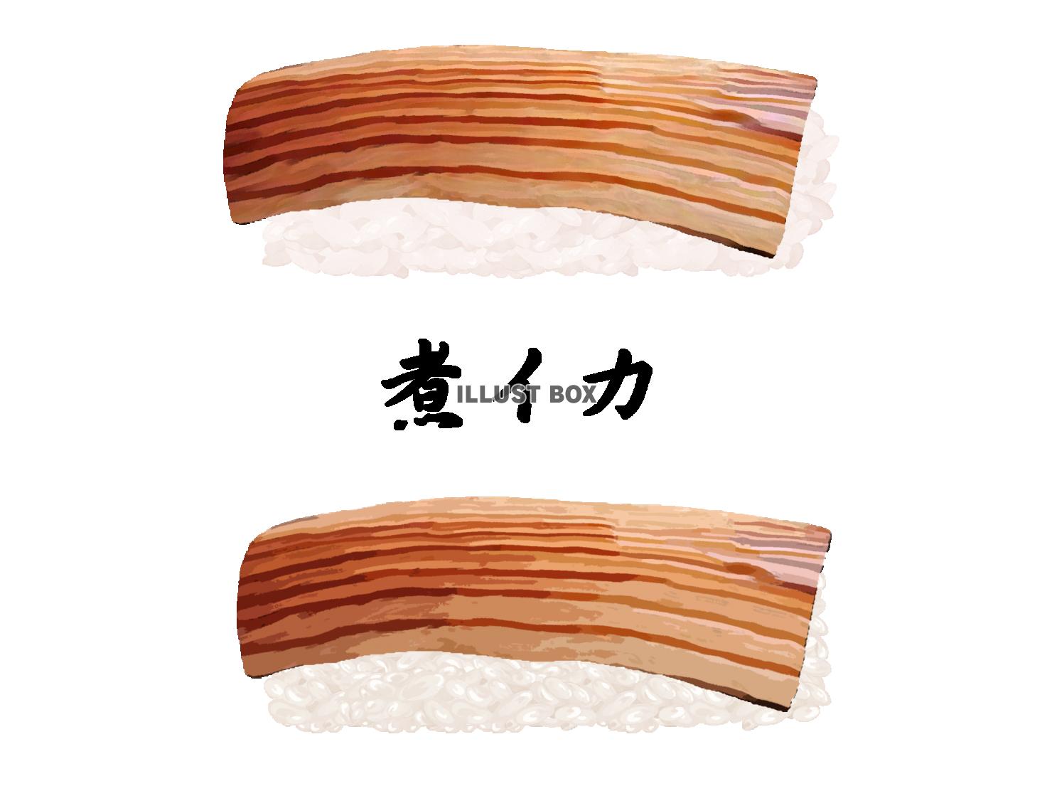 寿司-煮イカ