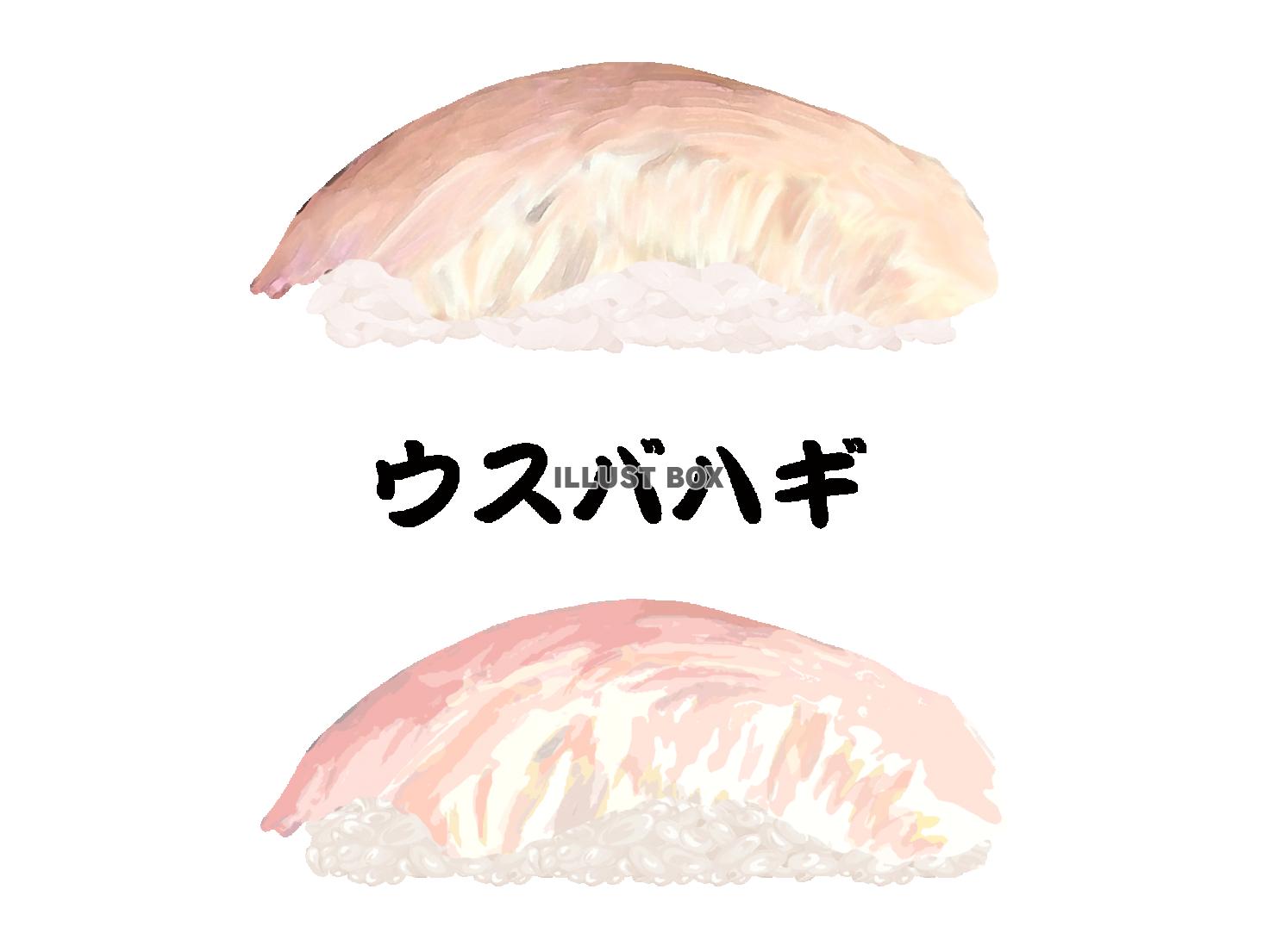  寿司-ウスバハギ