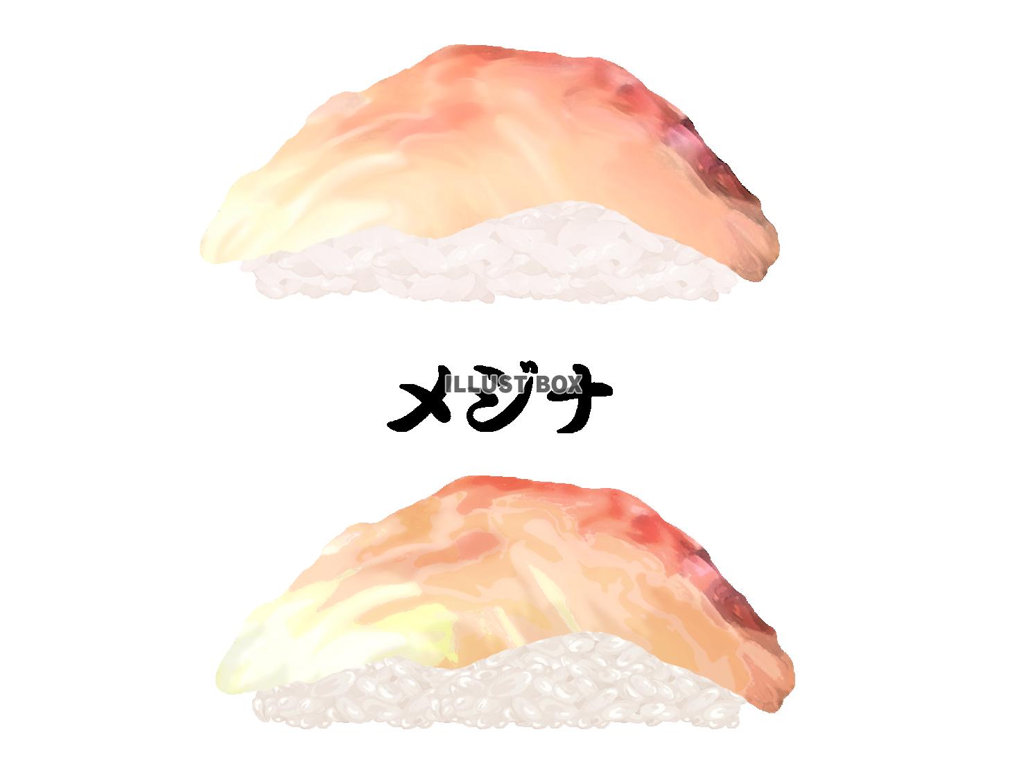寿司-メジナ