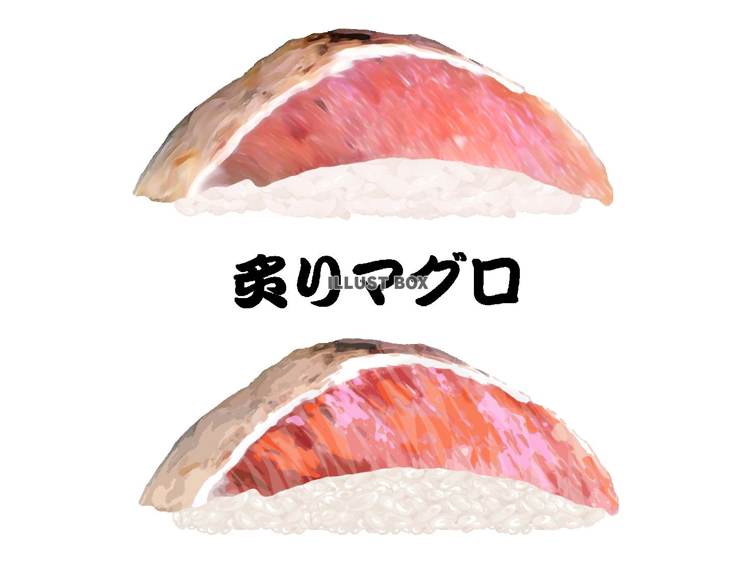 無料イラスト 寿司 炙りマグロ